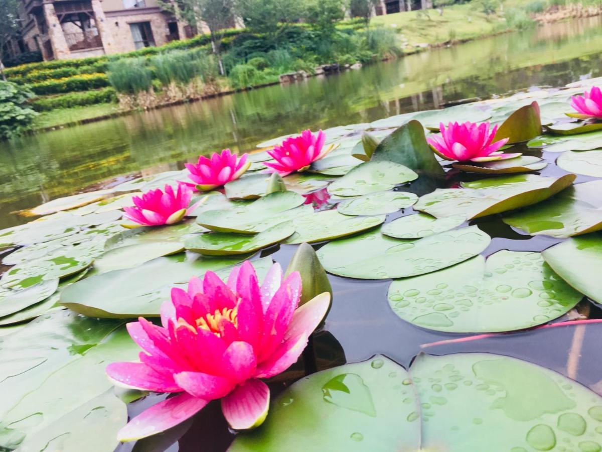 Jz Hotel Emei Gunung Emei Bagian luar foto